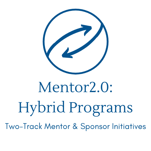 Twomentor – Mentoring Solutions (Now C4G) – We Build Sustainable + Dynamic Mentoring Initiatives